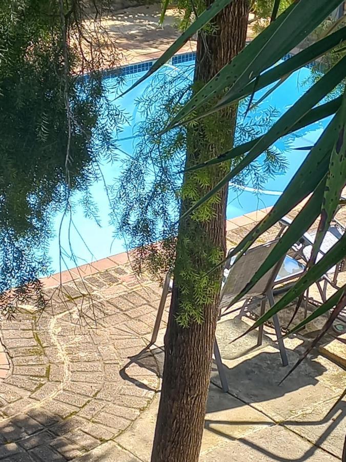 Kruger'S Guest House 白河 外观 照片