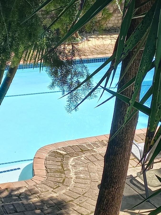Kruger'S Guest House 白河 外观 照片